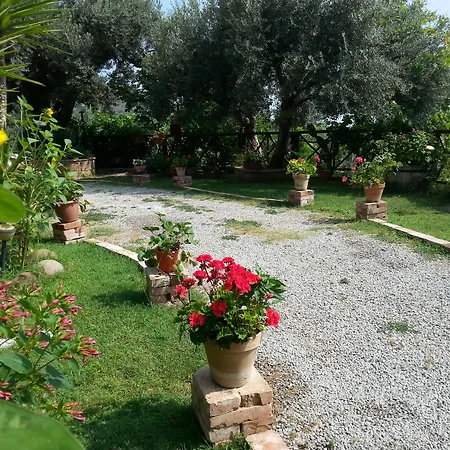 Κατάλυμα σε φάρμα L'uliveto *