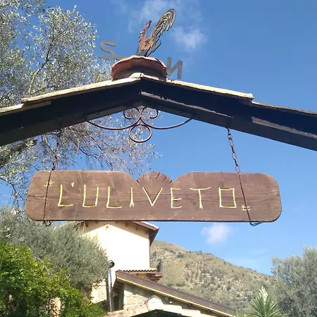 L'uliveto *