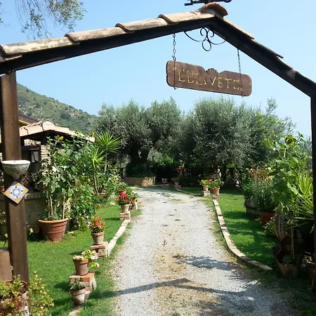 L'uliveto