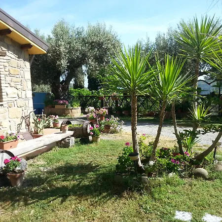 Κατάλυμα σε φάρμα L'uliveto