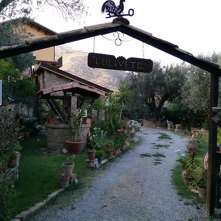 L'uliveto * Reitano (Messina)
