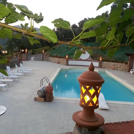 L'uliveto * Reitano (Messina)