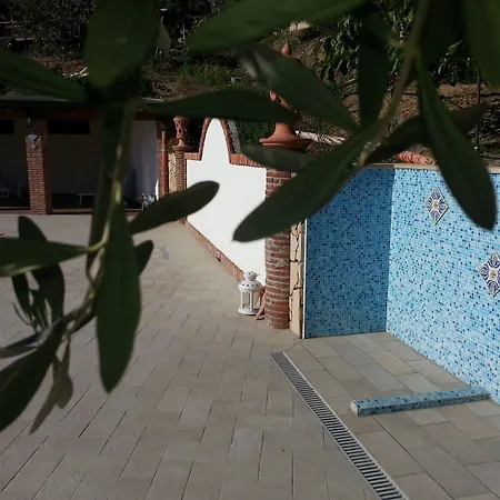 L'uliveto Reitano (Messina)