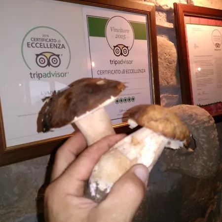 L'uliveto Фермерский дом Reitano (Messina)