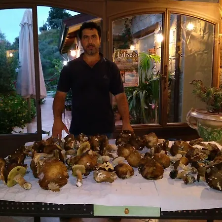 L'uliveto * Reitano (Messina)