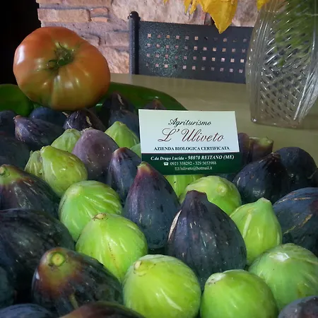 L'uliveto * Reitano (Messina)