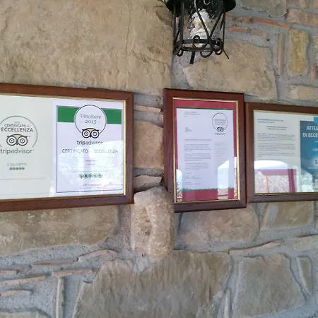 L'uliveto * Reitano (Messina)