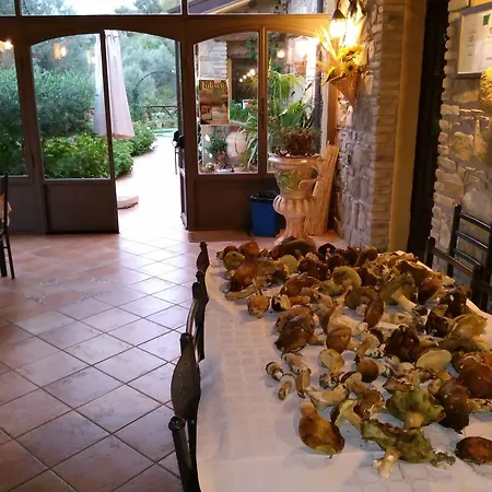 L'uliveto Фермерский дом