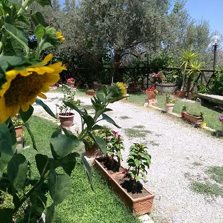 L'uliveto Фермерский дом