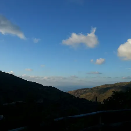 L'uliveto Reitano (Messina)