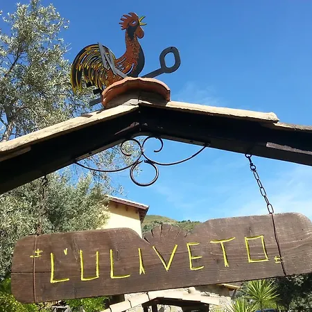 L'uliveto